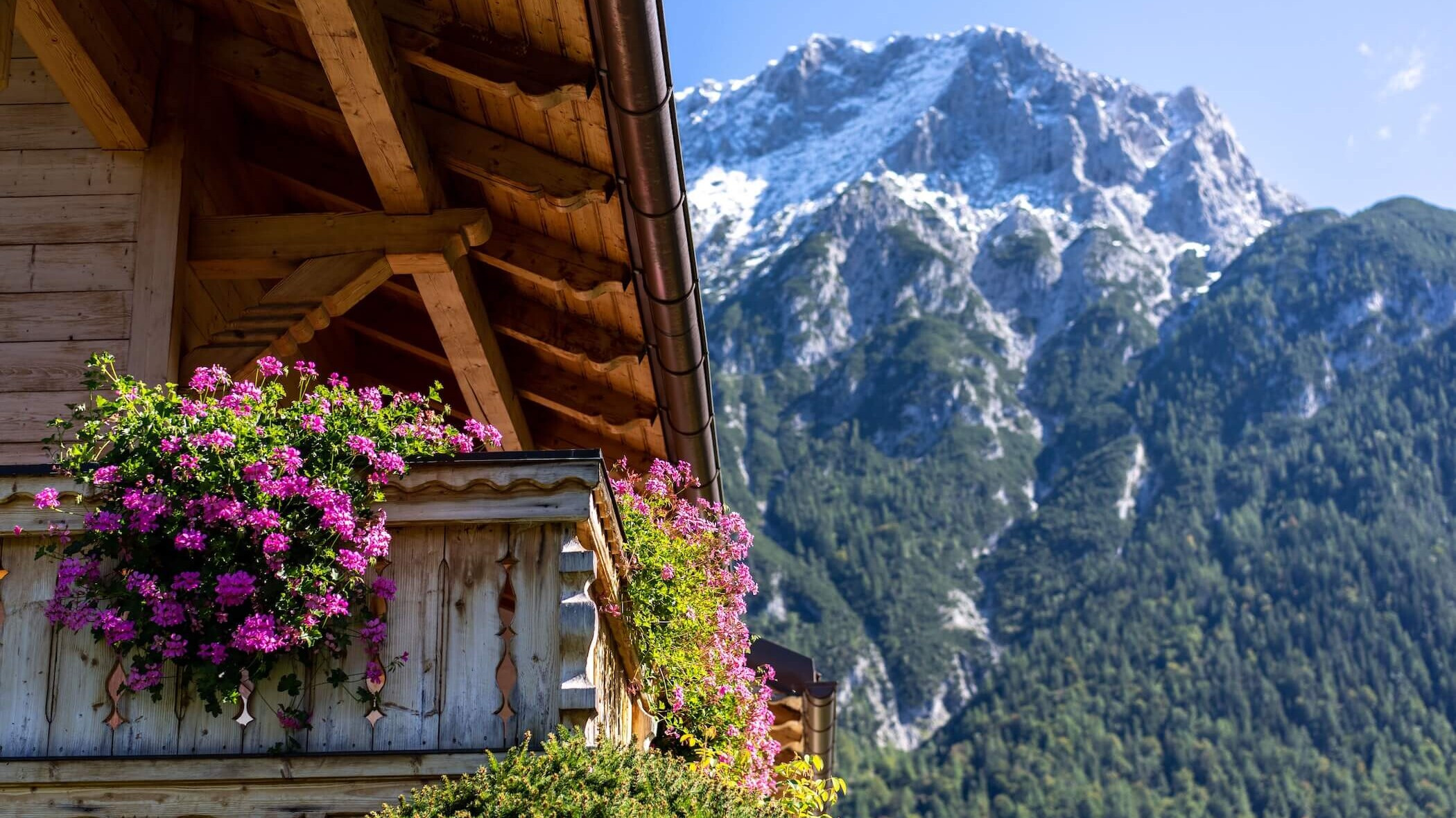 Gäsethaus Elisabeth - Ferienwohnungen in der Alpenwelt Kartwendel